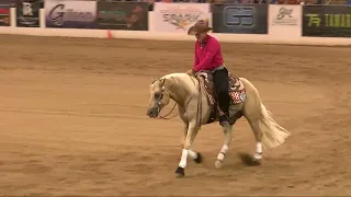 2022 Cactus Reining - Arno Honstetter & Electric Whizkey