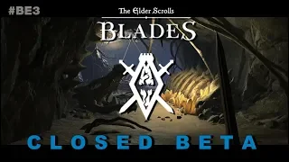 Elder Scrolls Blades Closed Beta Information!