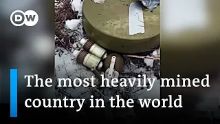 The threat of landmine contamination in Ukraine | DW News