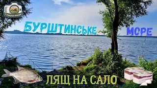 Бурштинське море. Риболовля з ночівлею.  Підлящ на сало!