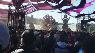Circuit Breakers @ Ozora one day in Mexico