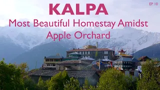 MOST BEAUTIFUL VILLAGE OF KINNAUR | KALPA | WHERE TO STAY | KINNAUR KAILASH | APPLE FLOWERING SEASON