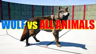 Far Cry 5 Arcade - Animal Fight: Grey Wolf vs All Animals Battles