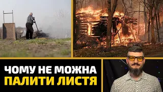 Чому не можна палити листя та сміття