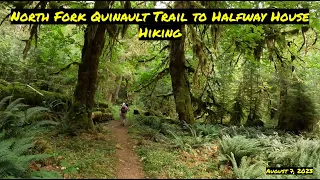 N Fk Quinault Hike