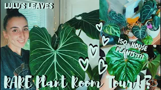 UPDATED Rare Plant Room Tour | 150+ House Plants