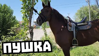 пушка Асылбек акеден 💥ИШЕНИЧТҮҮ😱11 июля 2023 г.