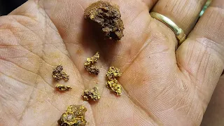 Reef gold found at abandoned mine!