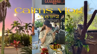 【Vlog】3泊5日ケアンズ旅行✈️🇦🇺Day1&2｜コアラを抱っこした🐨｜週末限定マーケット｜おしゃれカフェでモーニング☕️｜オーストラリアの大手スーパー🛒｜ナイトマーケット｜社会人の休日