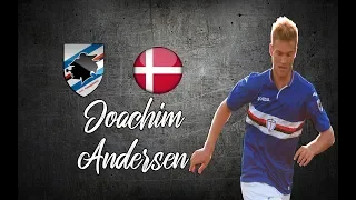 Joachim Andersen ● Skills , Long Passes , Tackles ●│2018 - 2019│►HD