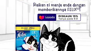 FELIX From PURINA Wet Cat Food 70 gram Sachet