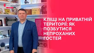 Кліщі ближчі, ніж ми можемо уявити | Праймвечір. Акценти