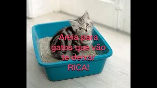 Gatos: areia caseira, boa e super econômica! Veja os cálculos no final! Dicas Pet da Dra. Rika #11