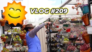 Succulent WATERING TOUR  In The MIDDLE OF THE DAY - VLOG #209 |Growing Succulents with LizK