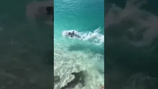 Акула утянула человека на дно