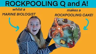 MARINE BIOLOGIST ANSWERS YOUR QUESTIONS ABOUT ROCKPOOLING whilst making a rockpool cake!