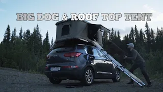 Roof top tent with a Big dog