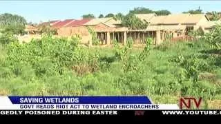 Saving Wetlands: Gov't reads riot act to wetland encroachers