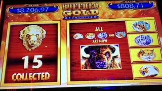 15 Gold Heads Again! The Most Unbelievable Jackpot In YouTube History! Buffalo Gold #BuffaloGold