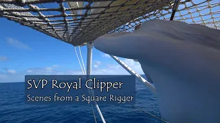 SPV Royal Clipper, Eastbound Transatlantic Voyage -- Scenes from a Square Rigger