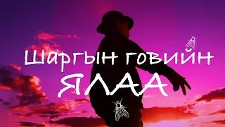 Shargiin goviin yalaa | Шаргын говийн ялаа | Capital Band Quiza Hits