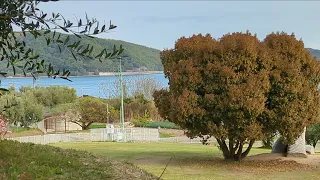 【小豆島】Shodoshima Olive Park 速遊🫒橄欖公園