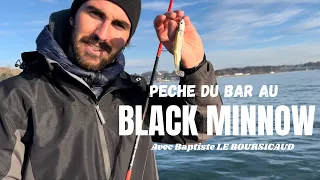 Enormes bars dans le Golfe du Morbihan :  Pêche au Black Minnow (Longue Version)