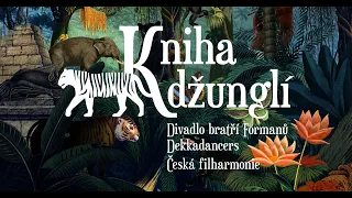 Kniha džunglí | animace