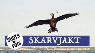 LUBBE SKJUTER SKARV