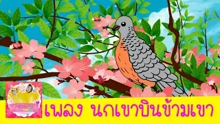 เพลง นกเขาบินข้ามเขา ไม่ใช่นกเราเฝ้าแต่แลมอง | เพลงเด็๋กอนุบาล