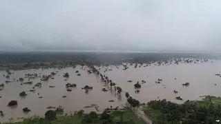 Гиганты Мозамбика / Giants of Mozambique | 4K |