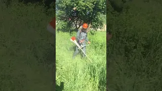 STIHL fs 560 c-em The boss of all brushcutters 🔝❌🥇🏆✅📺