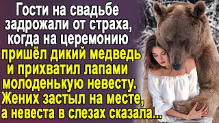 Гости на свадьбе задрожали, когда на церемонию пришёл дикий медведь и прихватил невесту. А жених...