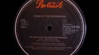 Picnic At The Whitehouse " We Need Protection " (Scream Mix)