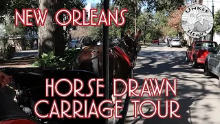 New Orleans – Horse and Carriage Tour – Frenchmen Street, Faubourg Marigny, French Quarter – NOLA