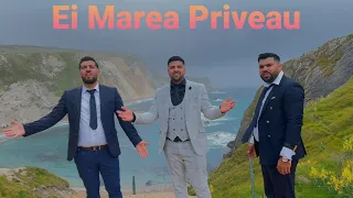 Pintinean | Adelin | Timotei - Ei Marea Priveau | OFFICIAL VIDEO 2021