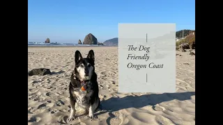 Dog Friendly Oregon | The Oregon Coast | Cannon Beach, Manzanita, Astoria