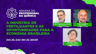 Painel - A indústria de fertilizantes e as oportunidades para a economia brasileira