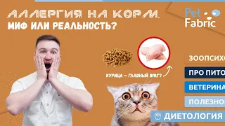 Аллергия на корм. Миф или реальность?