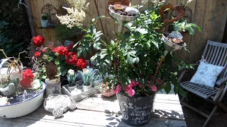 DIY/die ANDERE !! Blumen Deko .../ für Haus & Garten  TOP Upcycling  & MEHR!!