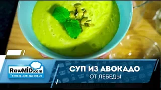 Легкий и вкусный суп из авокадо (сыроедческий рецепт)