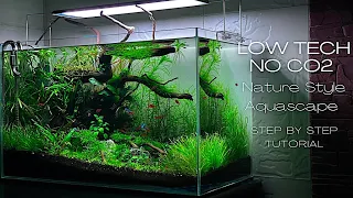 LOW TECH NO CO2 PLANTED AQUARIUM | STEP BY STEP SETUP | AQUASCAPING TUTORIAL