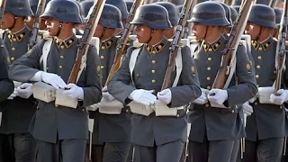 "Wehrmacht Parade Style" CHILE 2016