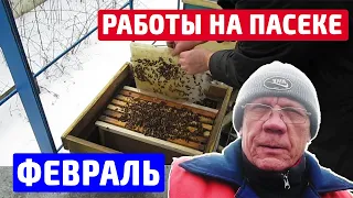 Зимовка пчел Работа на пасеке в феврале Пчелы в феврале