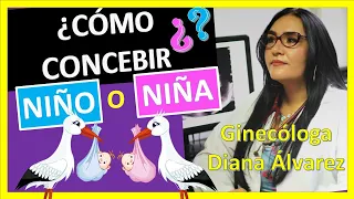 COMO EMBARAZARME DE NIÑO O NIÑA; por GINECOLOGA DIANA ALVAREZ