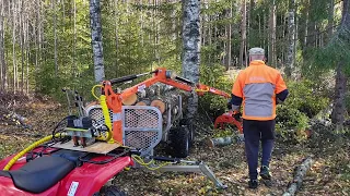 Taittuuko koivut kärrille vai kärri koivuille?