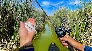 Pescando Lago Natural REPLETO de Lobinas en Kayak!