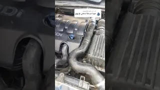 واش هي  Pip 3 🤔 في سيارة Peugeot 406