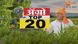 Agro Top 20 3PM 20th March 2024