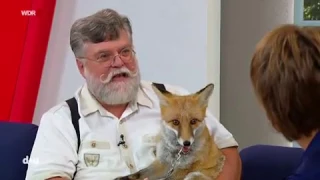 Der mit dem Fuchs schmust: „Lady Foxy“ – Rolf Niggemeyers große Liebe